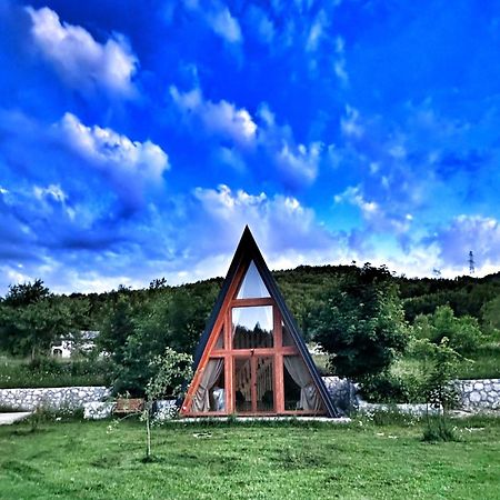 Albero Casa Βίλα Τσέτινιε Εξωτερικό φωτογραφία