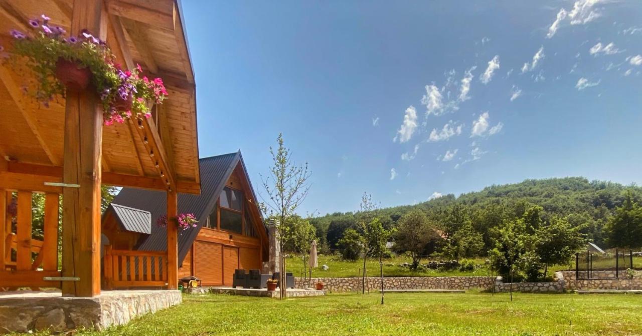 Albero Casa Βίλα Τσέτινιε Εξωτερικό φωτογραφία
