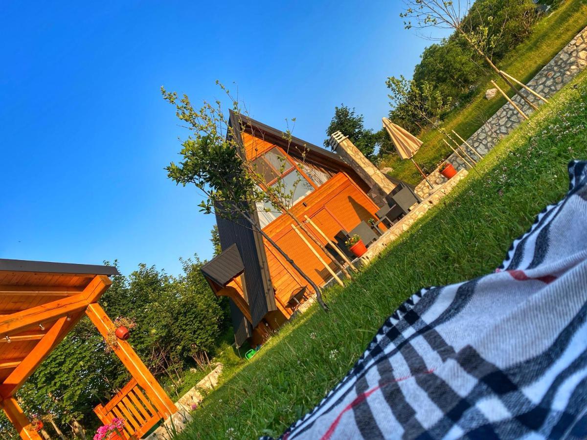 Albero Casa Βίλα Τσέτινιε Εξωτερικό φωτογραφία