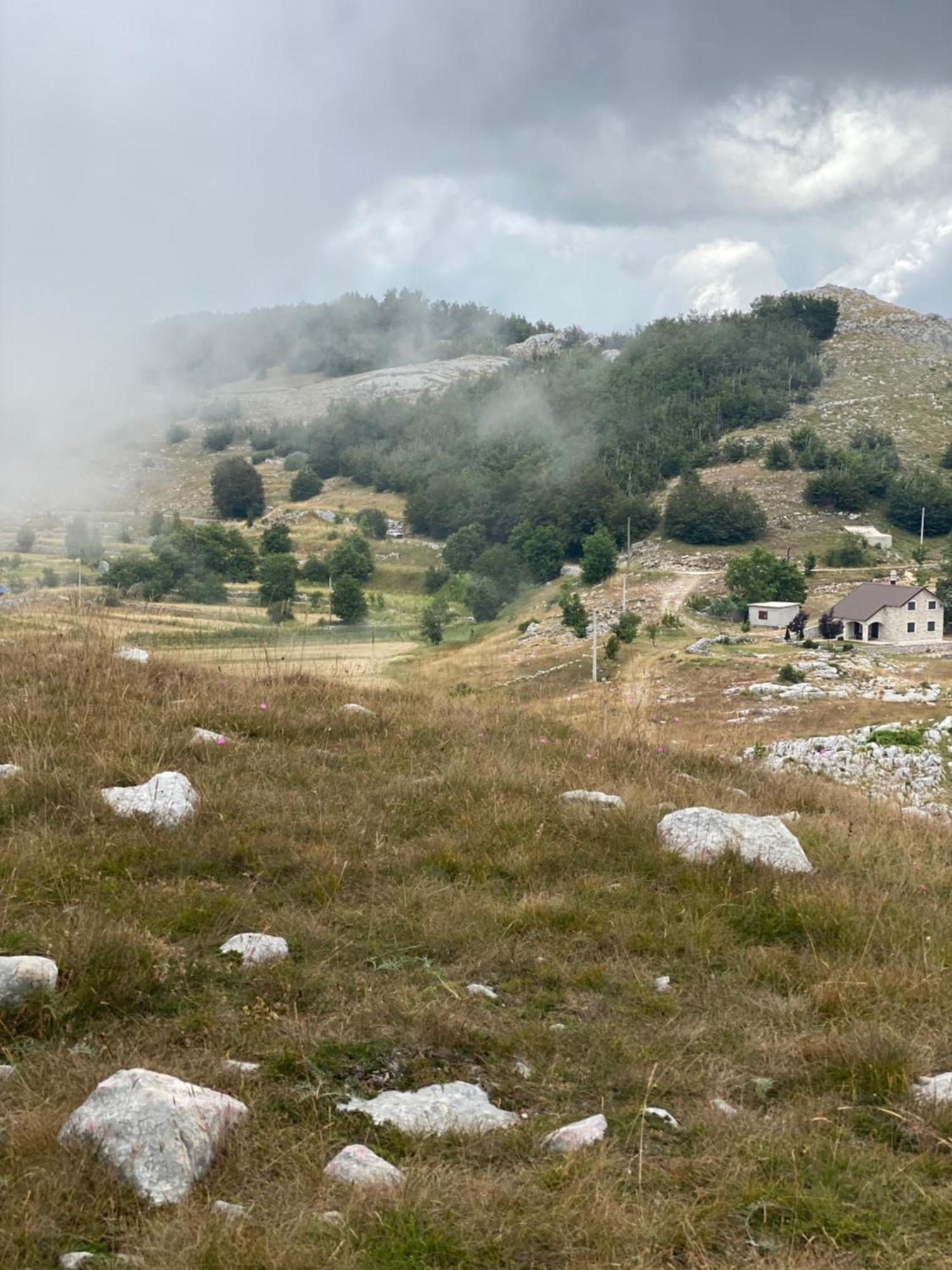 Albero Casa Βίλα Τσέτινιε Εξωτερικό φωτογραφία