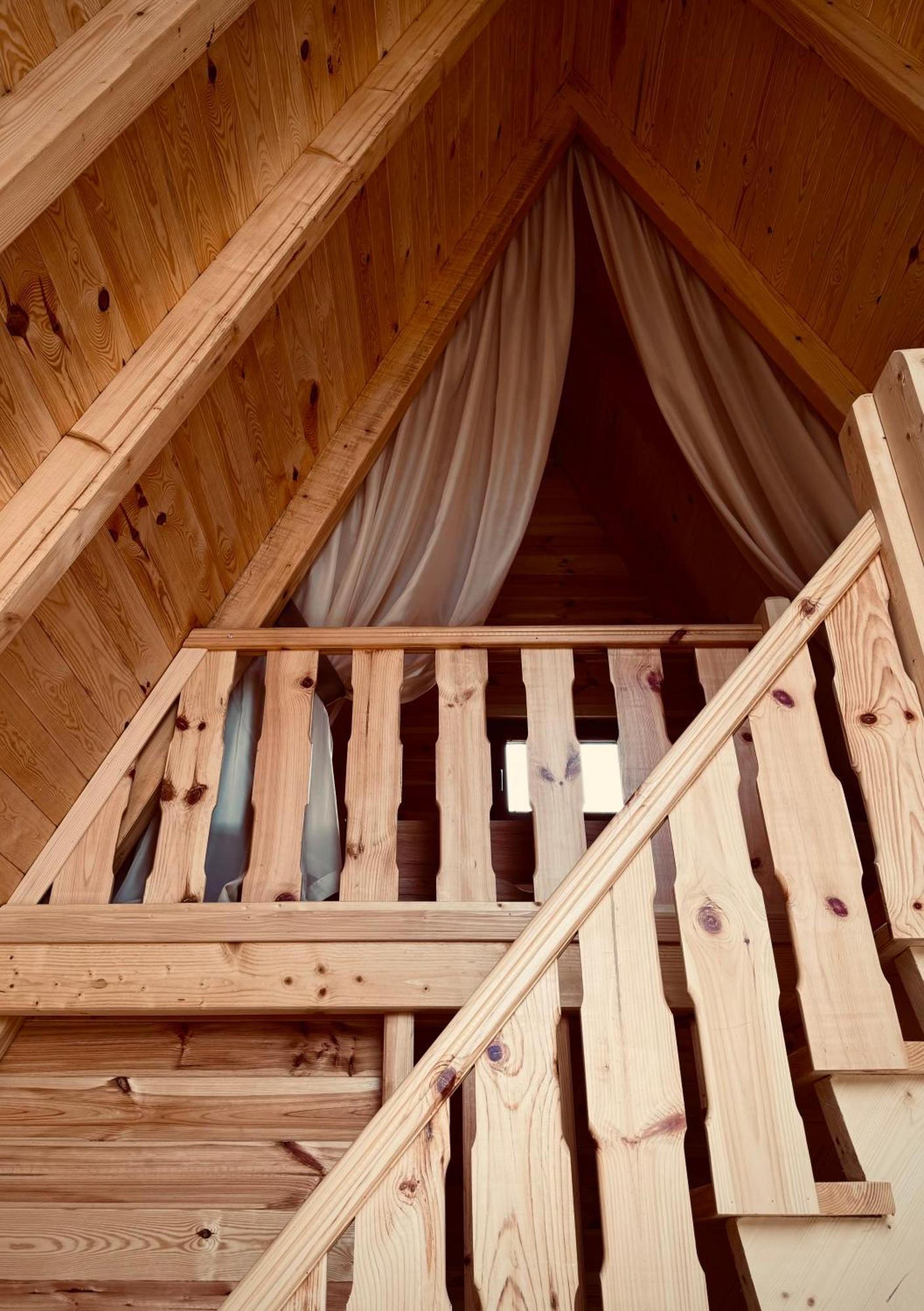 Albero Casa Βίλα Τσέτινιε Εξωτερικό φωτογραφία