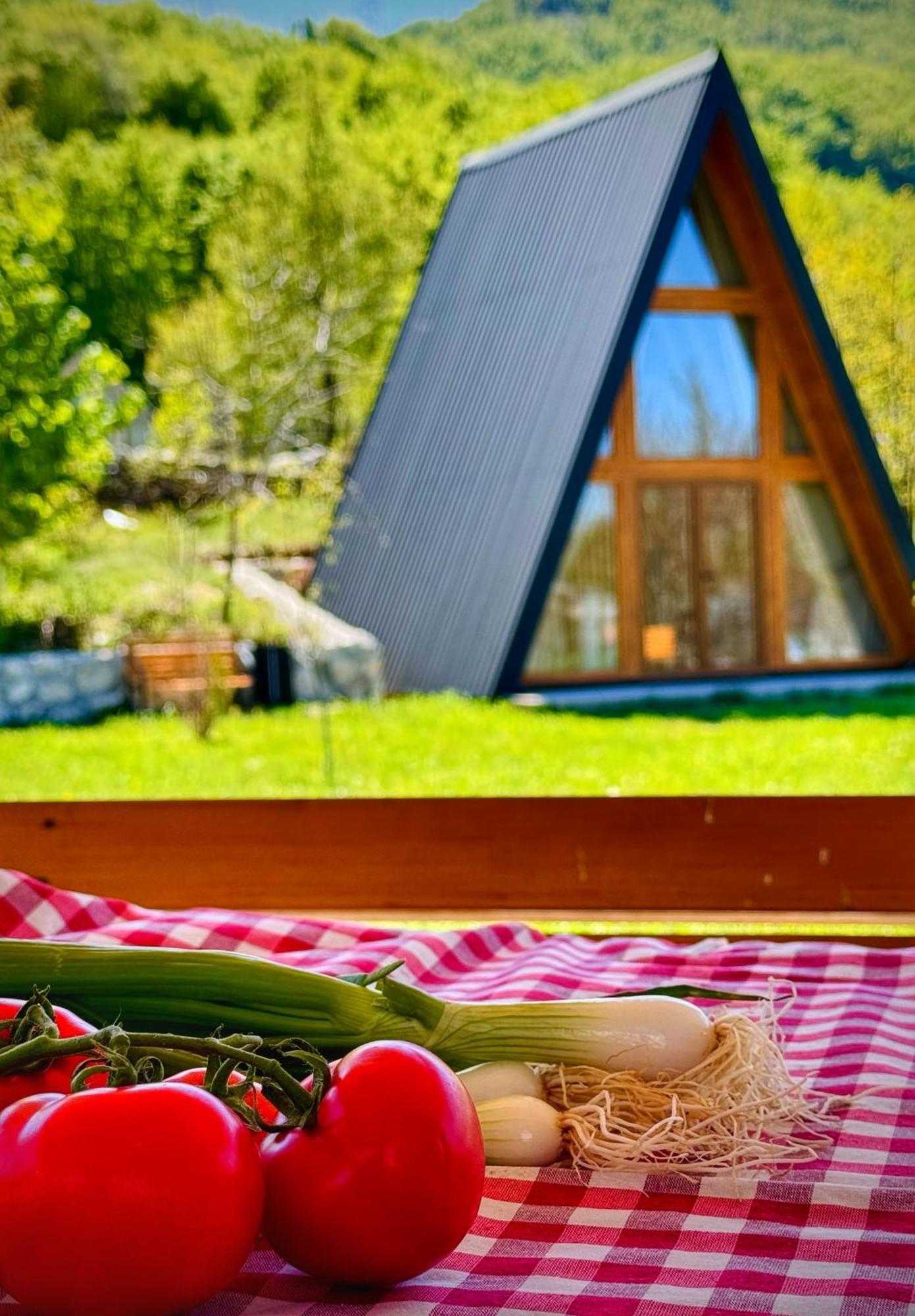 Albero Casa Βίλα Τσέτινιε Εξωτερικό φωτογραφία