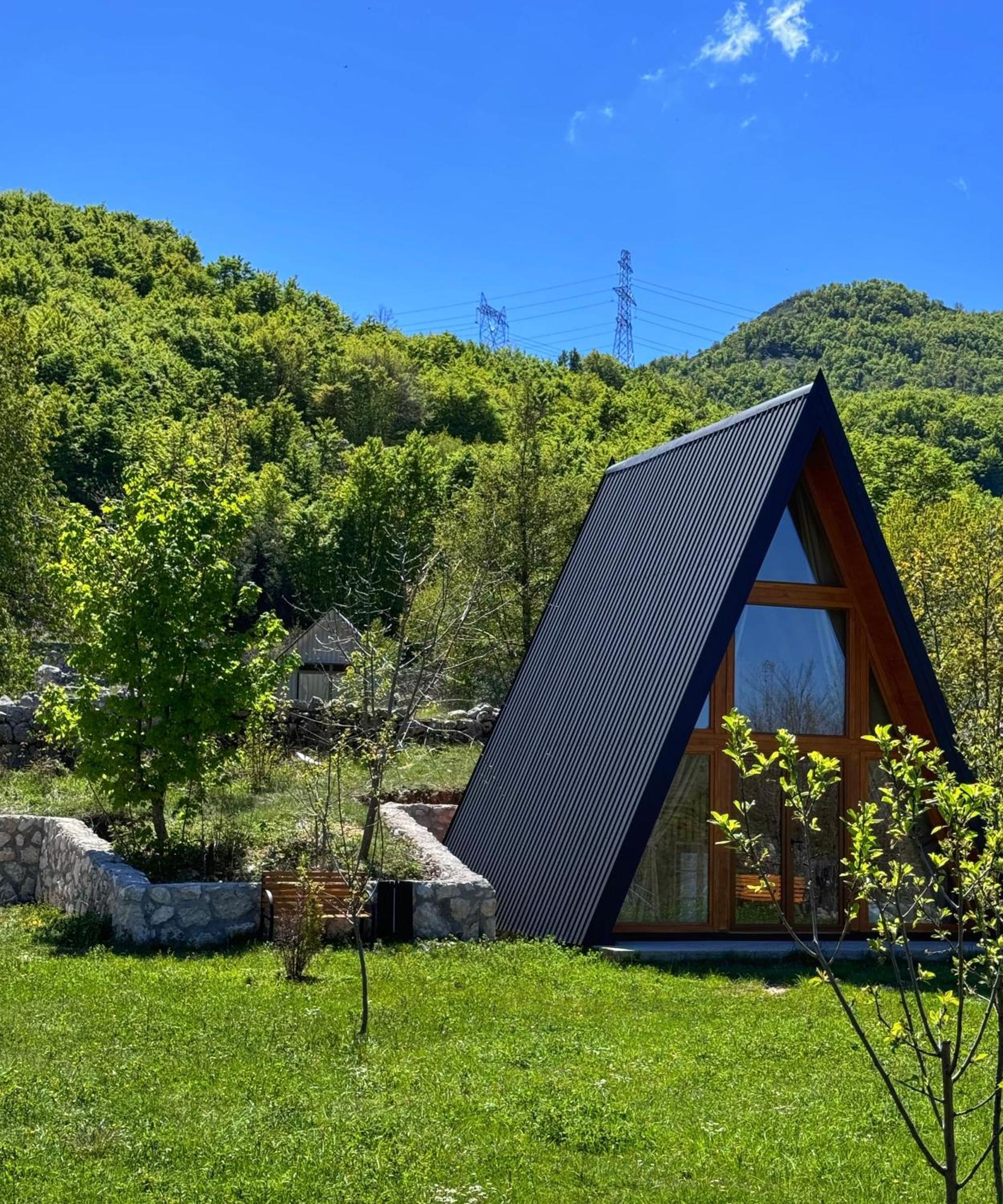 Albero Casa Βίλα Τσέτινιε Εξωτερικό φωτογραφία