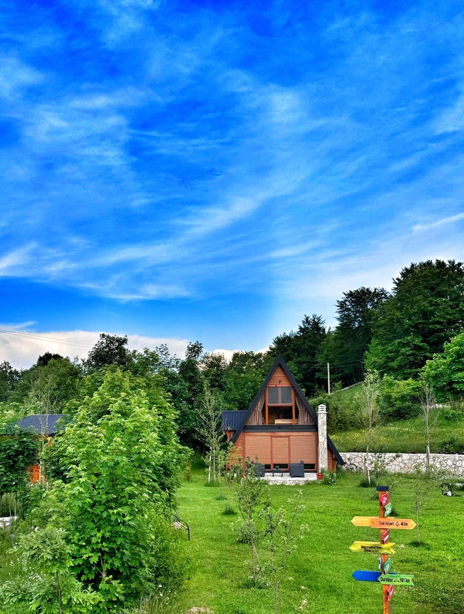 Albero Casa Βίλα Τσέτινιε Εξωτερικό φωτογραφία