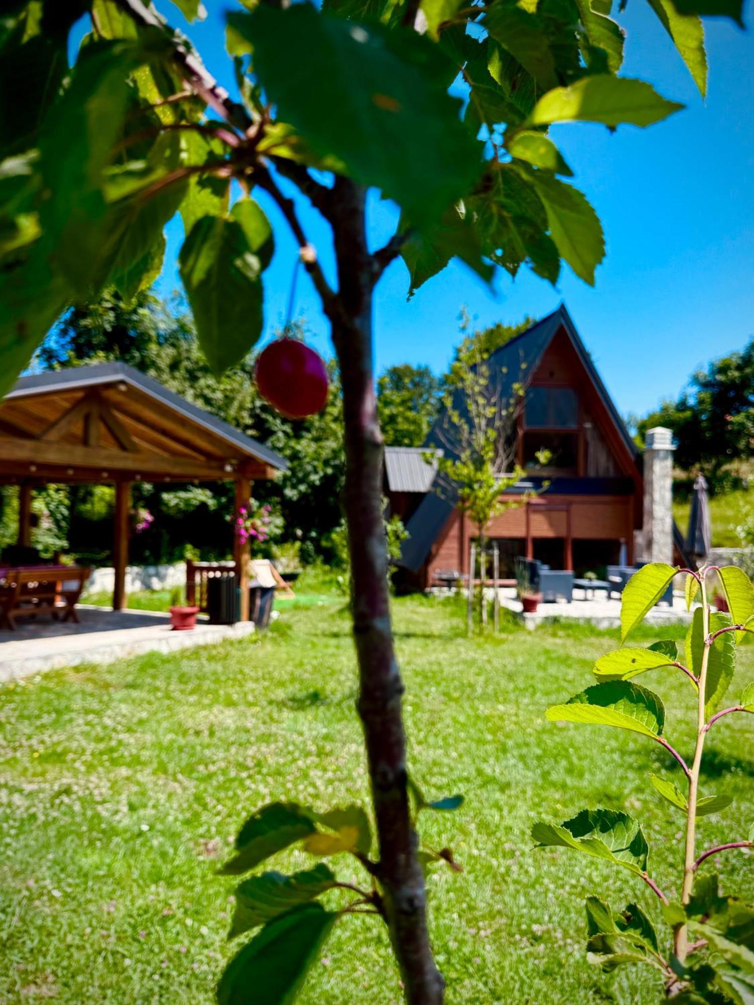 Albero Casa Βίλα Τσέτινιε Εξωτερικό φωτογραφία