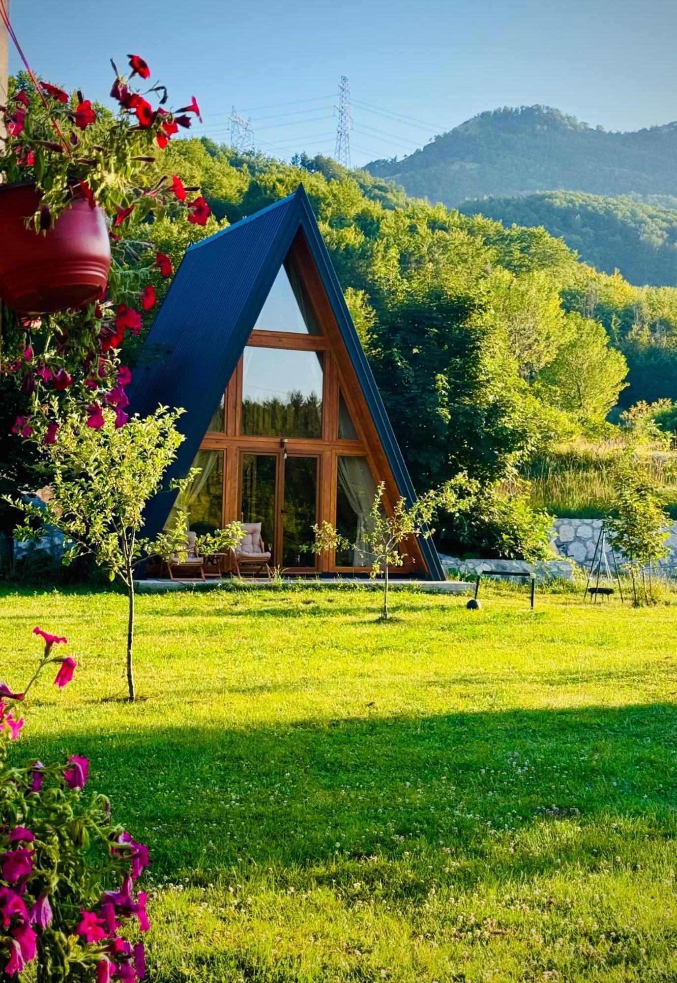 Albero Casa Βίλα Τσέτινιε Εξωτερικό φωτογραφία