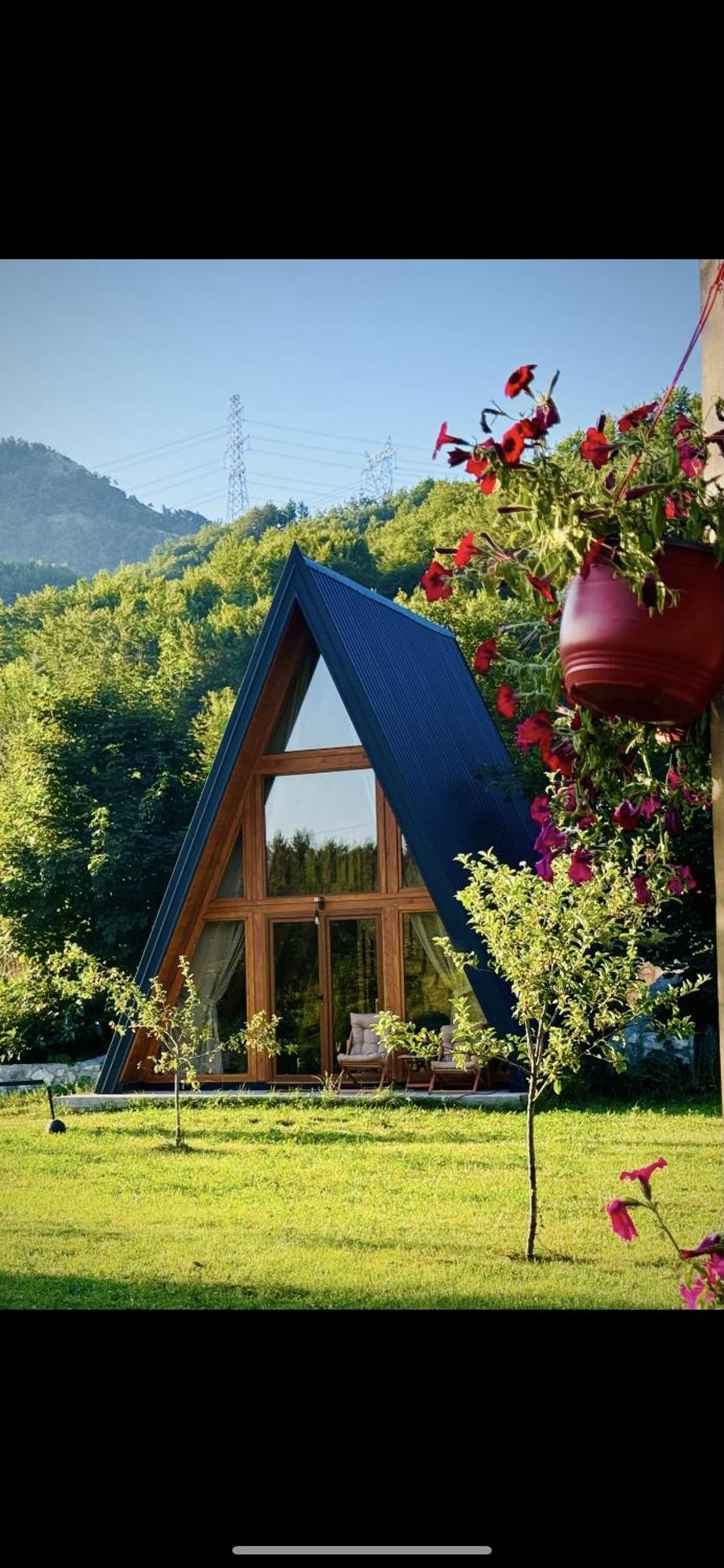 Albero Casa Βίλα Τσέτινιε Εξωτερικό φωτογραφία